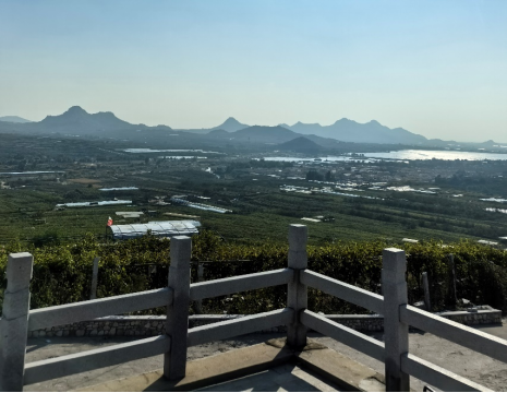 平度大澤山葡萄園引進(jìn)萊恩德土壤肥料檢測(cè)儀， 輕松掌握土壤營(yíng)養(yǎng)